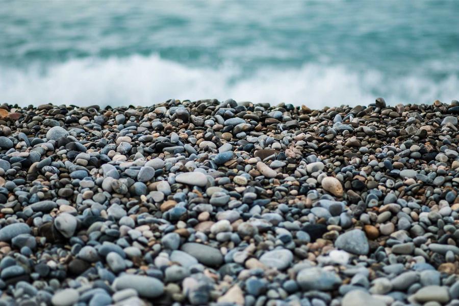 A dense field of pebbles at the water's edge